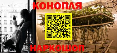гидропоника Белореченск