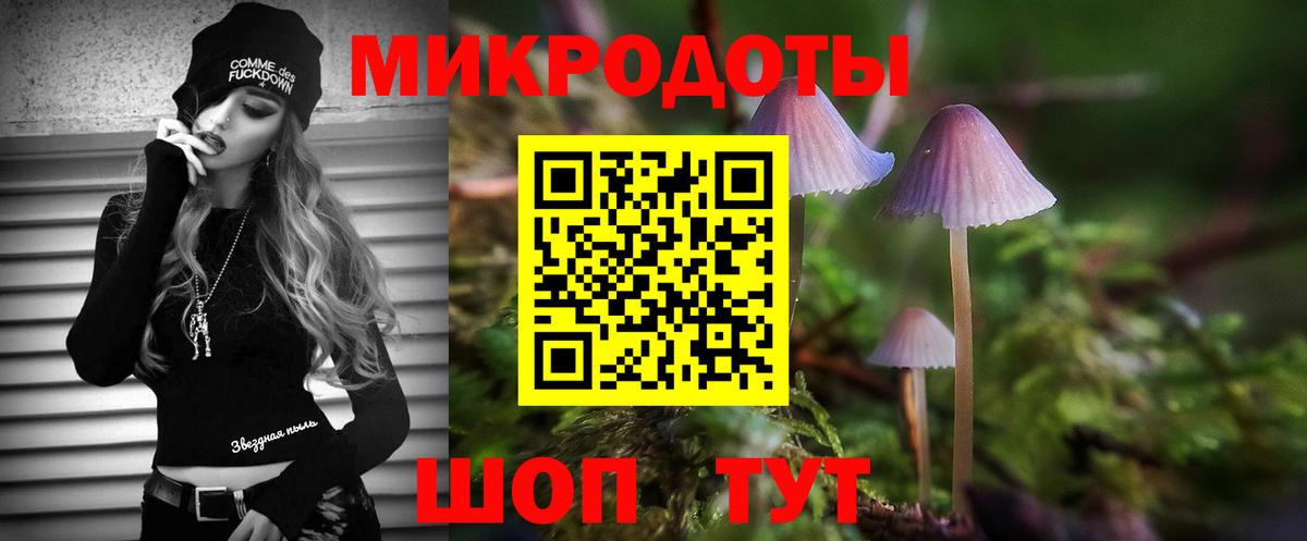 Галлюциногенные грибы MAGIC MUSHROOMS  Вход с VPN  Дюртюли  Псилоцибиновые грибы Psilocybe 